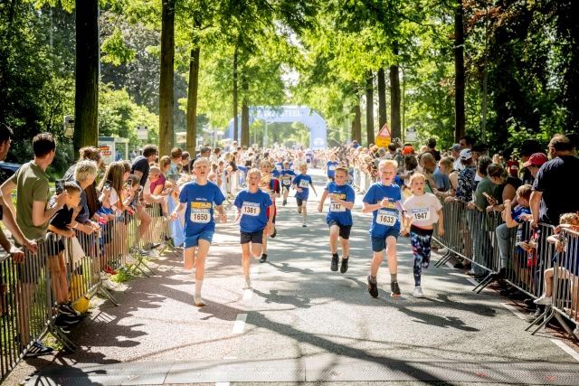 42 ste TATASTEEL Marquetteloop